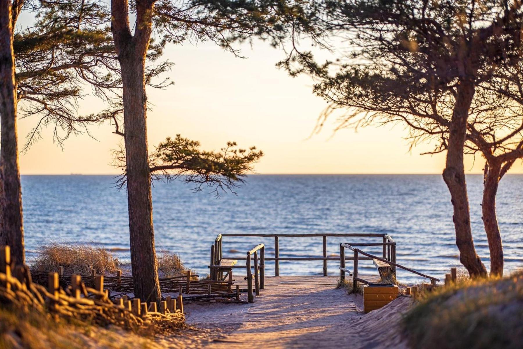 Zalia Kopa Apartments Palanga Dış mekan fotoğraf