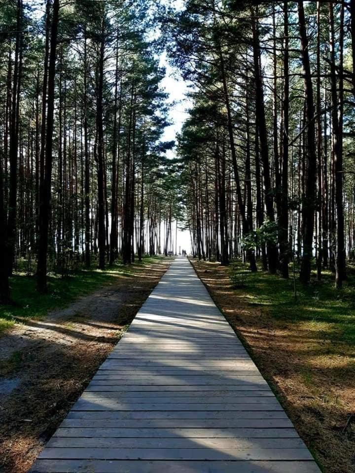 Zalia Kopa Apartments Palanga Dış mekan fotoğraf