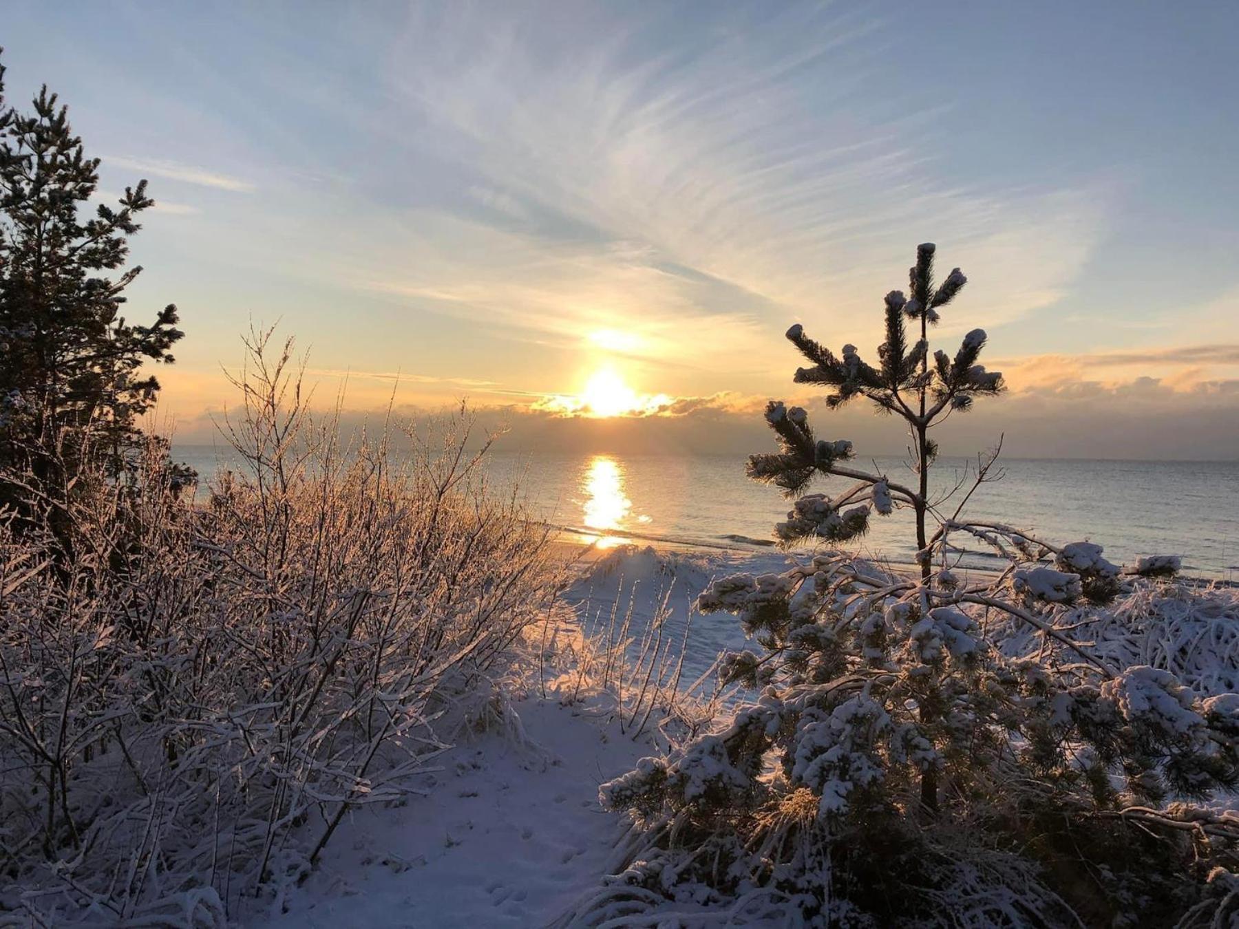 Zalia Kopa Apartments Palanga Dış mekan fotoğraf