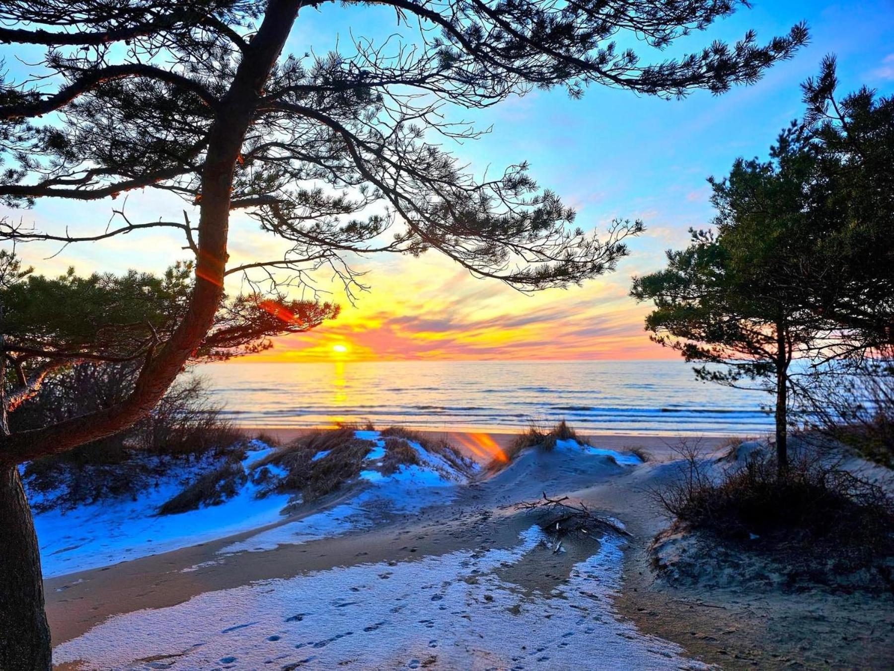 Zalia Kopa Apartments Palanga Dış mekan fotoğraf
